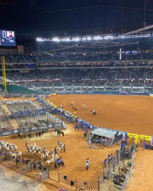 Dirty South Rodeo Festival: Virginia