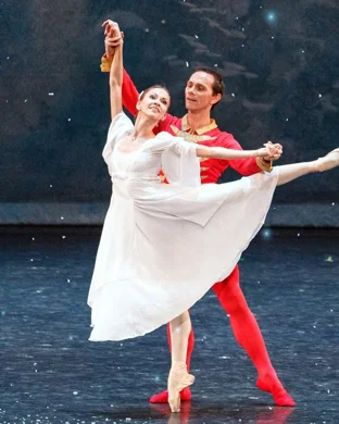 Swan Lake - Symphony of Lights